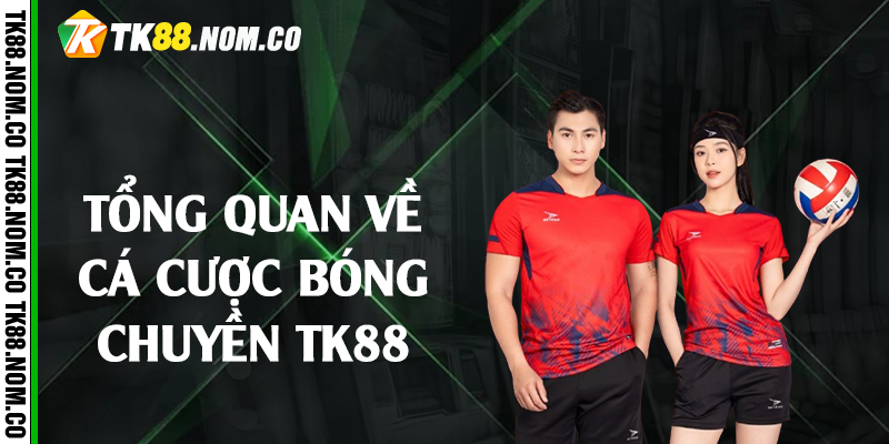 ca cuoc bong chuyen tk88 Tổng quan về cá cược bóng chuyền Tk88