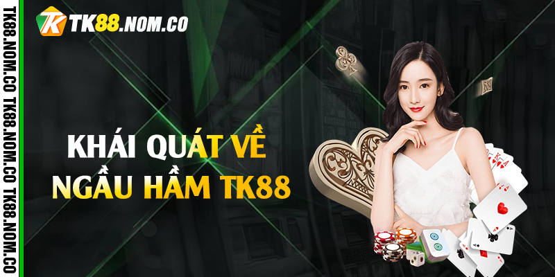 khai quat ve ngau ham tk888 Khái quát về ngầu hầm Tk88