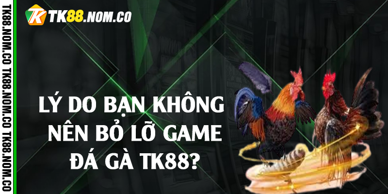 ly do klhong nen bo lo da ga tk88 Lý do bạn không nên bỏ lỡ game đá gà Tk88?